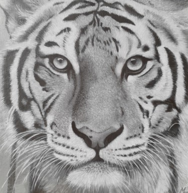 Tigre blanc