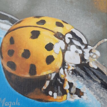 coccinelle